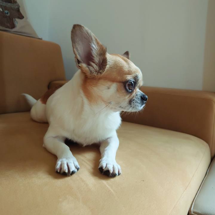 9677f32a 98a3 48af ac0c 41623abfed05 1688118697388