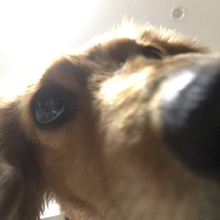 967806f5 527f 4a6a aaae ec7deb61daff 1583415684170