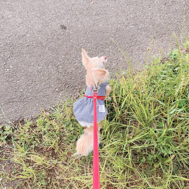 9678228e 9673 43aa 8f4e 94626716f865 1653645478991