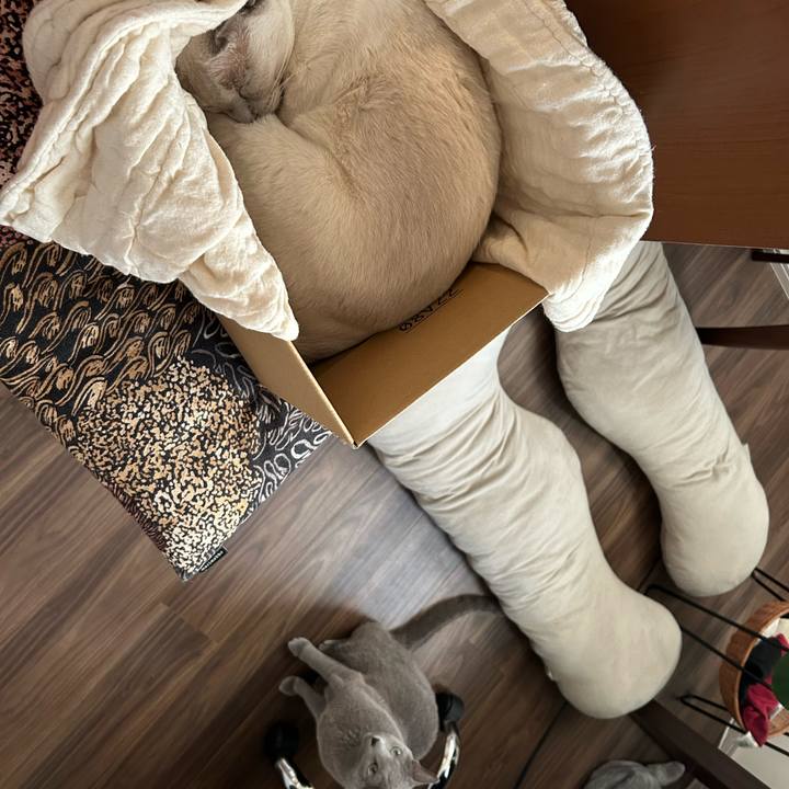 96786e1f 6ab7 4dcd 9b97 81a7526ae3fd 1736835554240