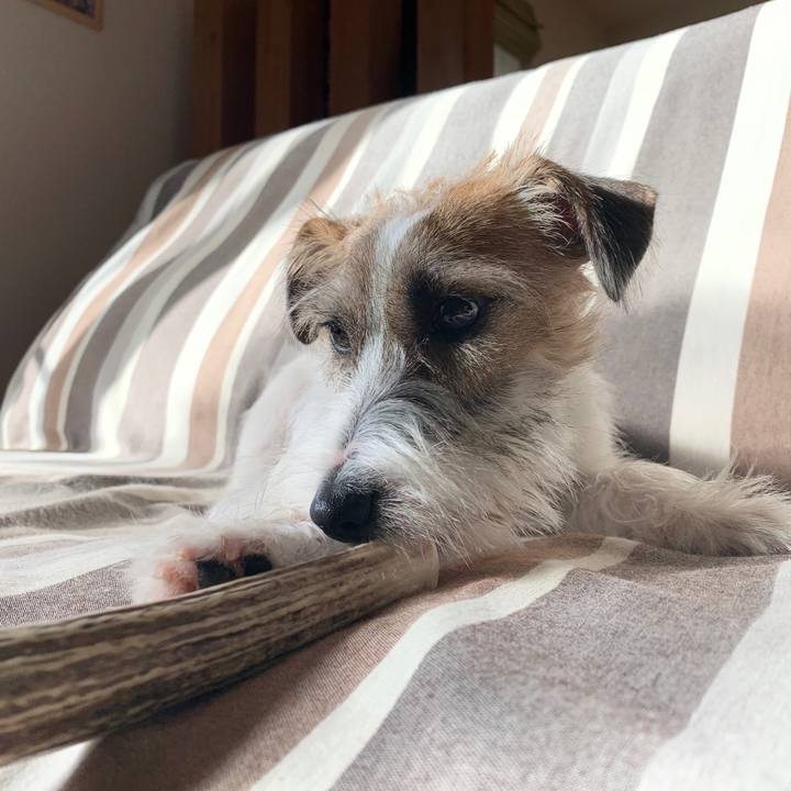 9678711c 41d3 4dfe 850f a9eb56a7e9bf 1575504737571