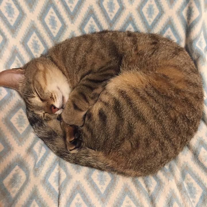 967884ae 1d51 41d4 8fdc bd7c84052d77 1529766807644