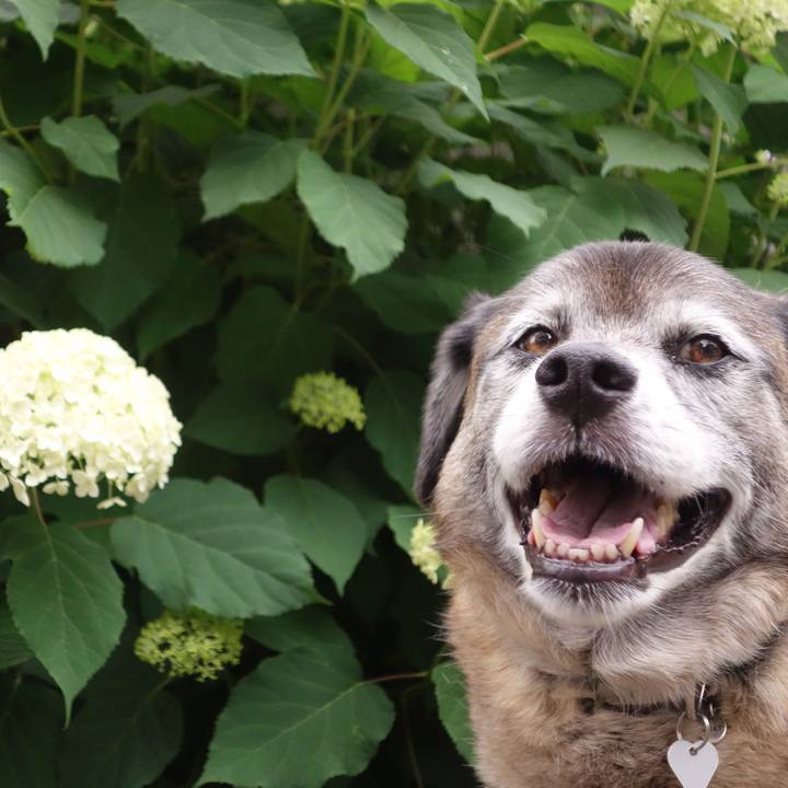 967885b2 1ed1 415a 8045 720d5bafb612 1670030107956