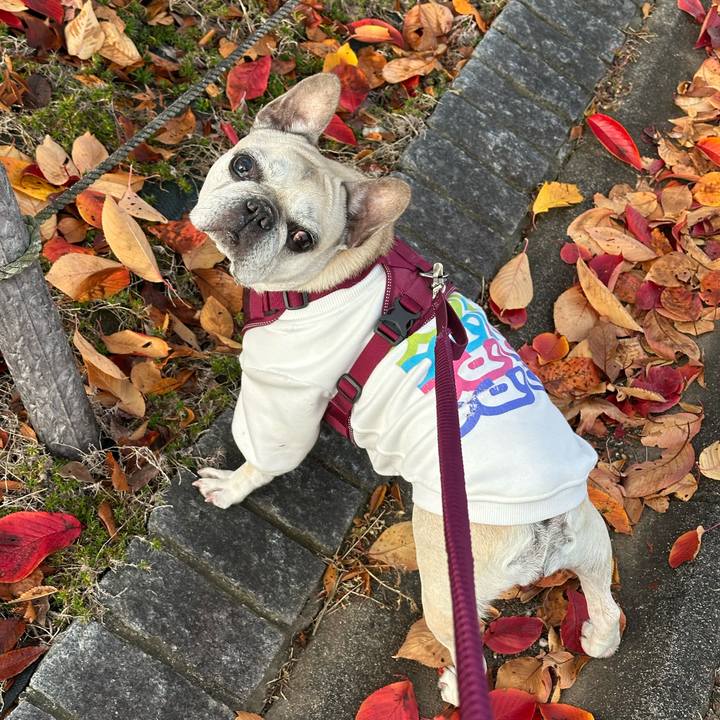 9678884f 153f 4184 a59a 457b38dc5cd2 1763902171178