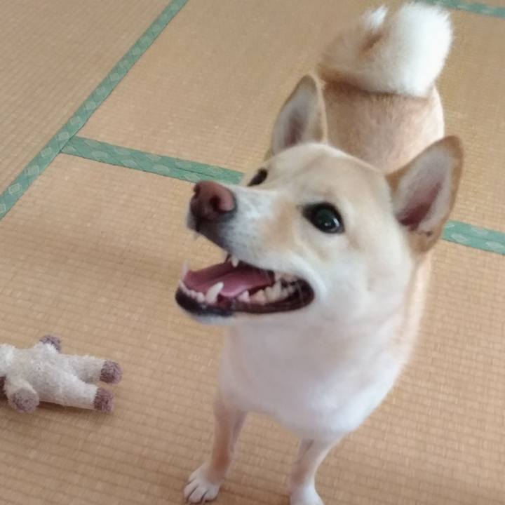 9678953c a967 4a74 861b 60606e55971c 1533078243118