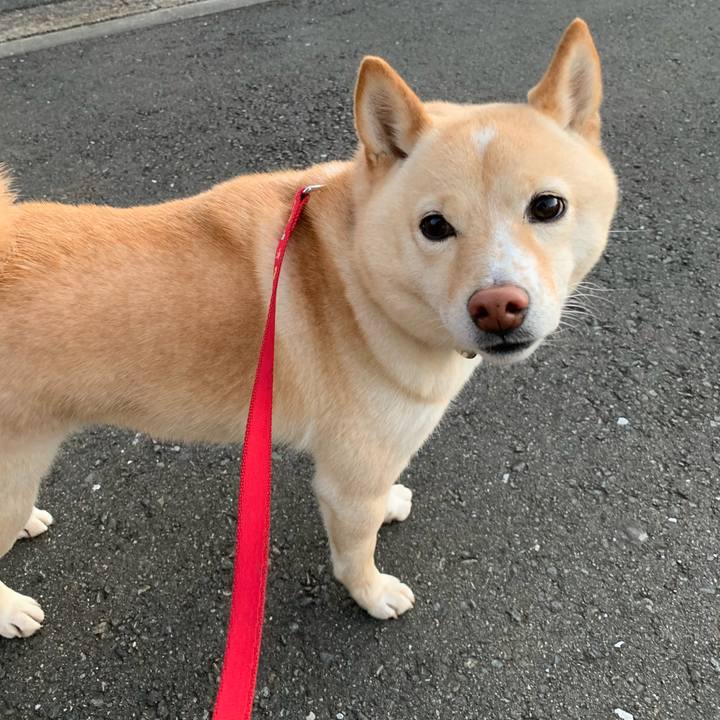 9678a3fa 001f 41d0 8d63 c8ad92e19eee 1639916951019