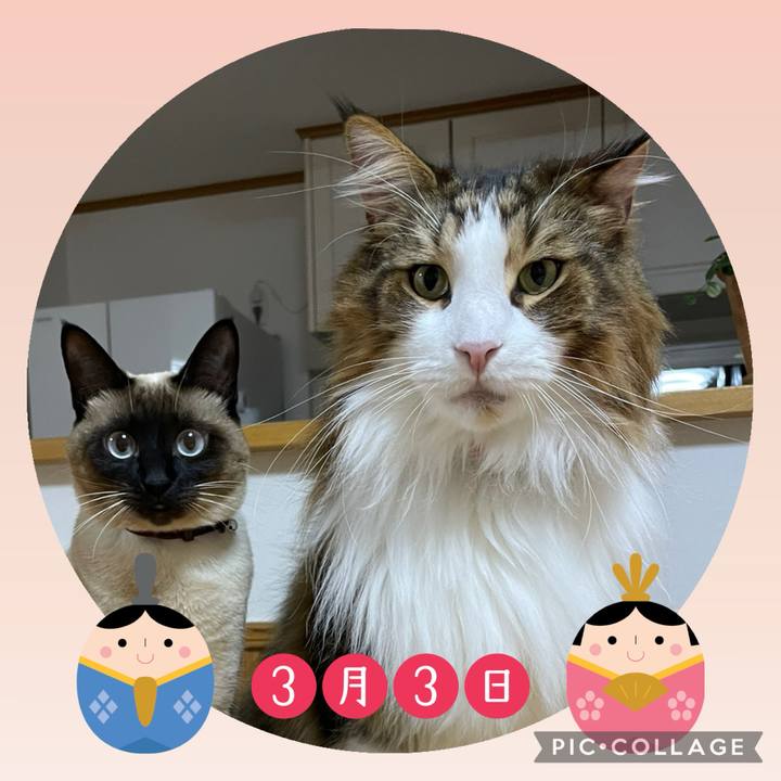 9678f524 3dc1 458b a65d df8633845ead 1740947746873