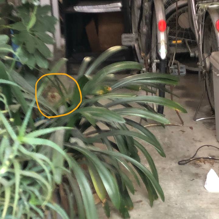 9678f69c 9e08 4803 95ef 3f7ec48d3cf9 1583804119683