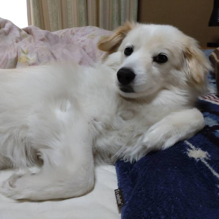 96792b85 2bca 4c89 9284 73dc16fc7027 1651970149064