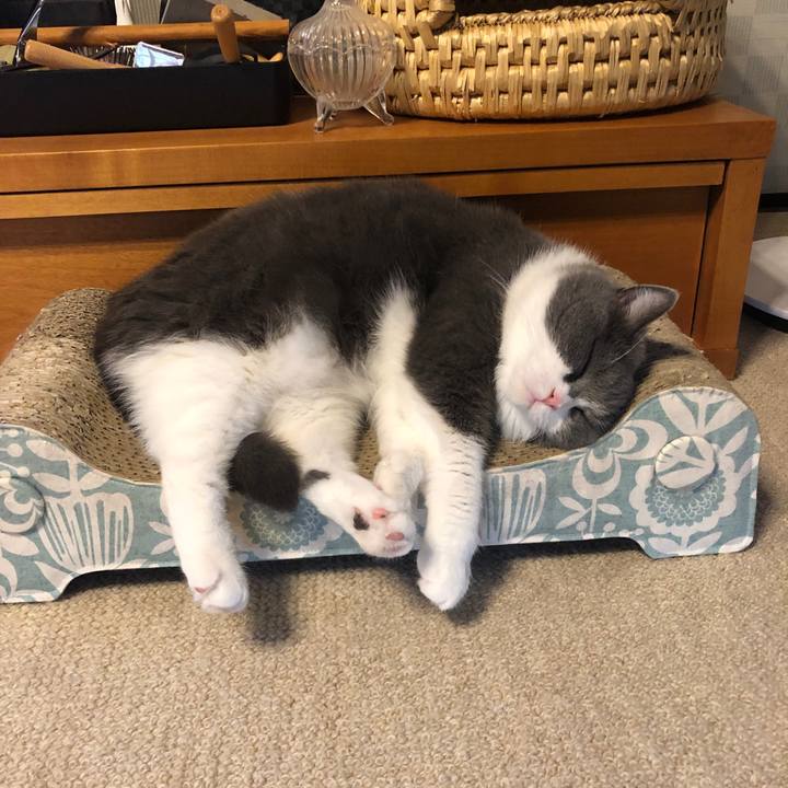 967949c5 8d60 45b8 bb43 390c5dda3bb8 1626911509550