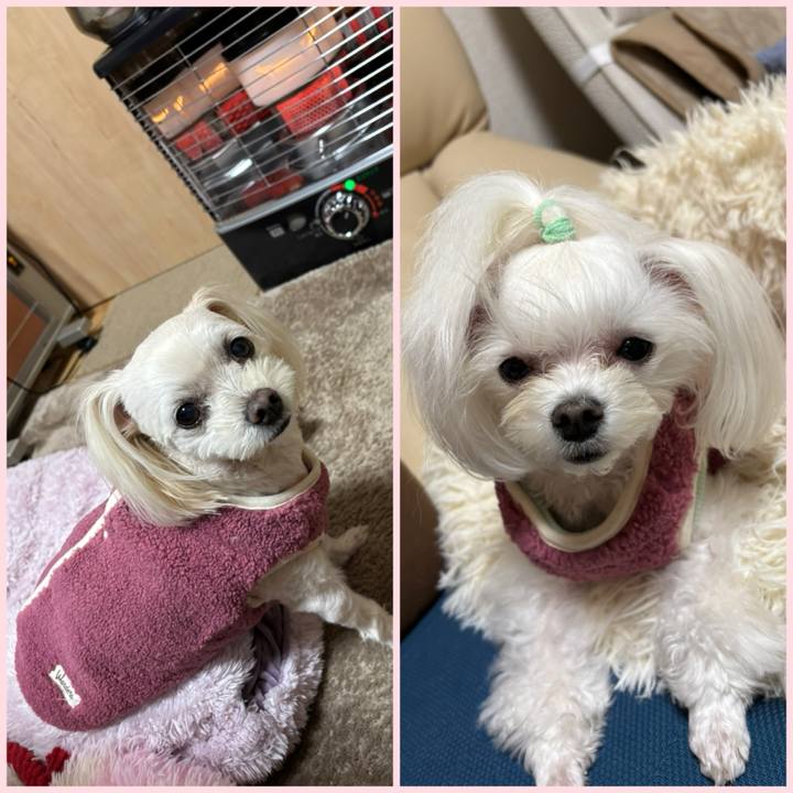 96796935 0913 4469 8d47 063f70a820c4 1770020636910