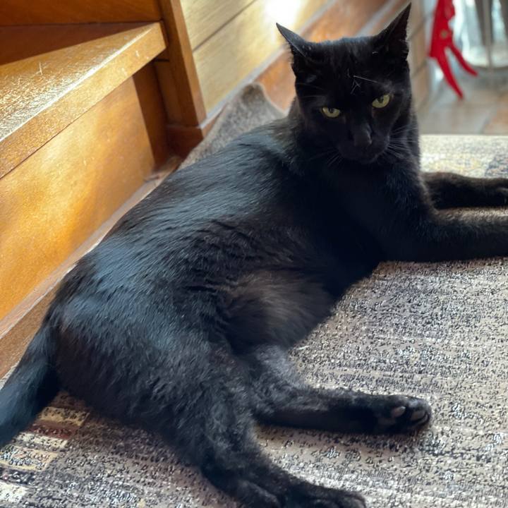 9679bcaf c60e 42c8 be66 5d3e818d3256 1633136692987