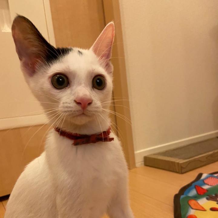 9679c119 7a35 4c05 a46f b4256b85e762 1663683903022