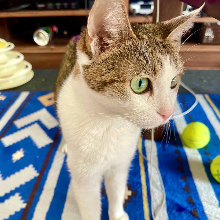 9679e338 9392 45c4 943a 25edf74a5e45 1638063454820