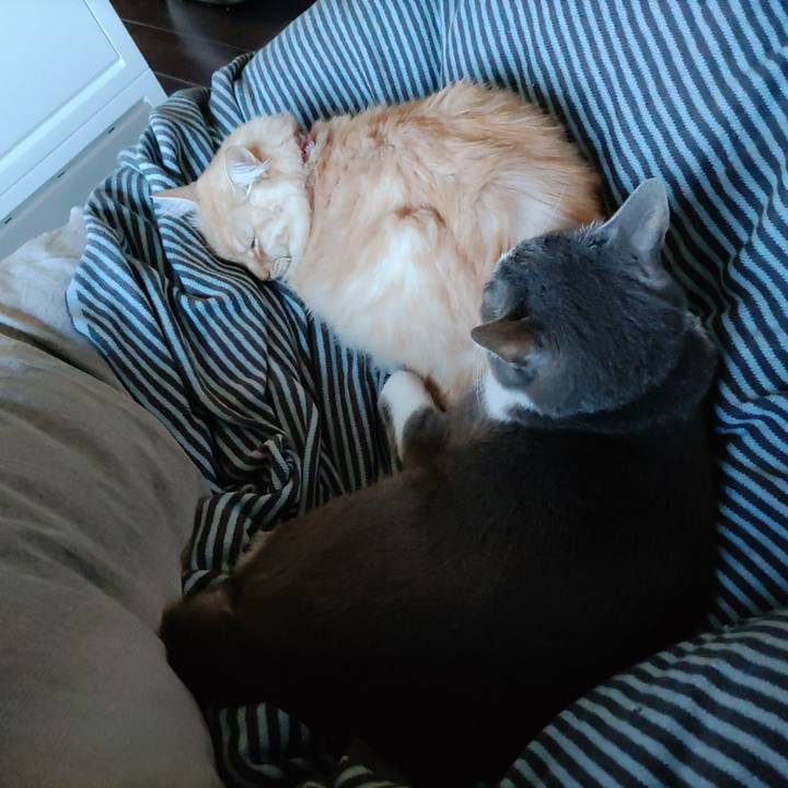 9679ee69 46f9 48e8 86a2 f25924ba27bd 1700614969364