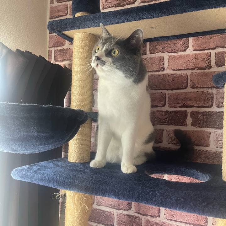 9679f202 5d14 477e a878 95777f501fc0 1690156430286