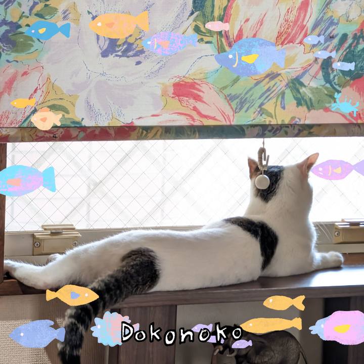 967a1cc5 7def 4600 b518 5b1874e2cb58 1755415872705