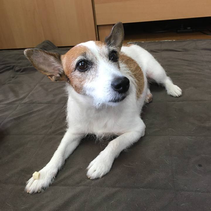 967a73fa 21ff 4ab0 ba1e 49fa0266828d 1598747888752