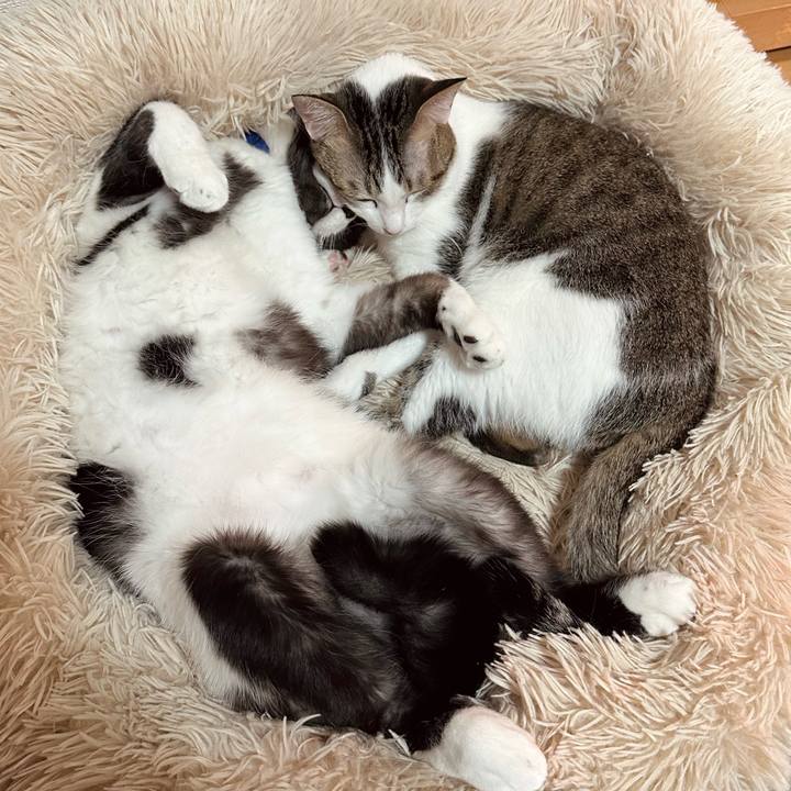 967a8784 199c 4545 bef3 9d6b176a2ca8 1773658568944