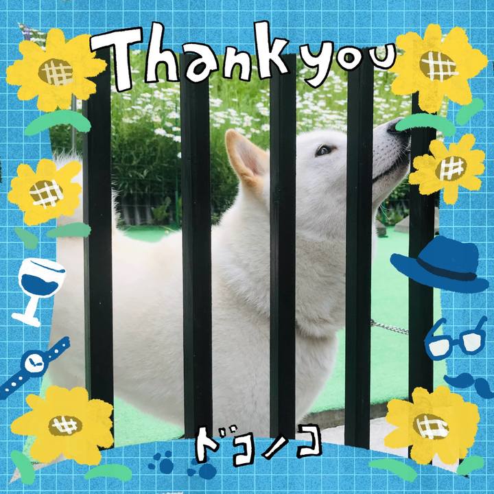 967aa3f2 ff91 4bee 8a25 63c0b7e7c362 1717836017711