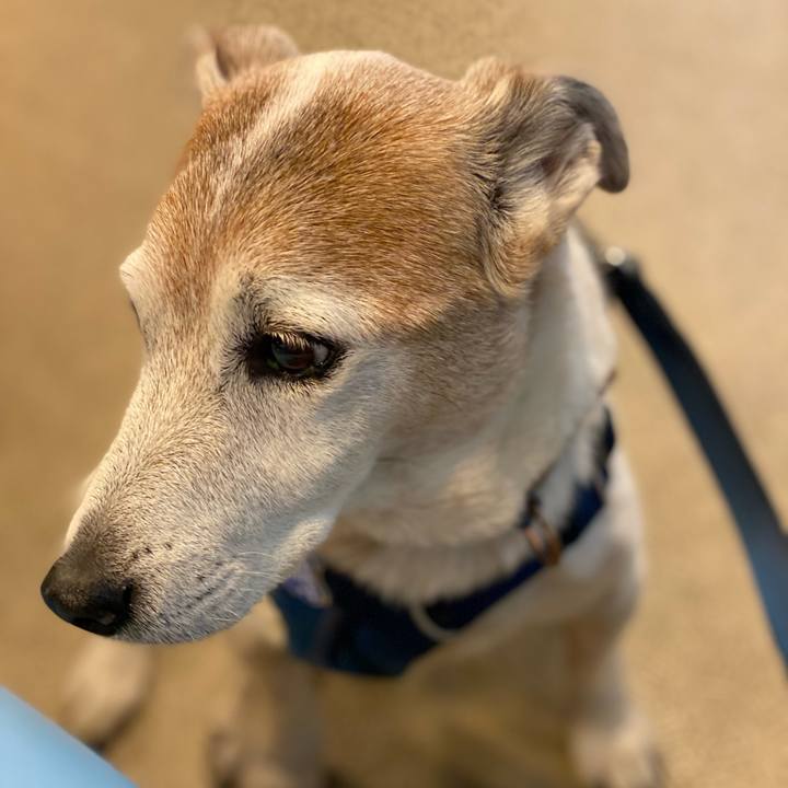 967aa961 f0aa 4267 a88b b65c5f1365bd 1649426494426