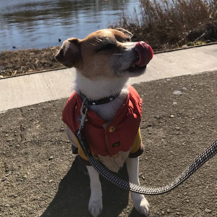 967acbbb 2077 43d2 a508 7b0602af71f4 1546140744931