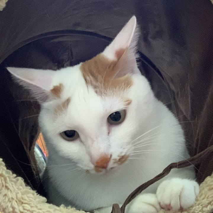 967afedc 8ee5 4efa a5d4 284f4cdcfbeb 1580640266745