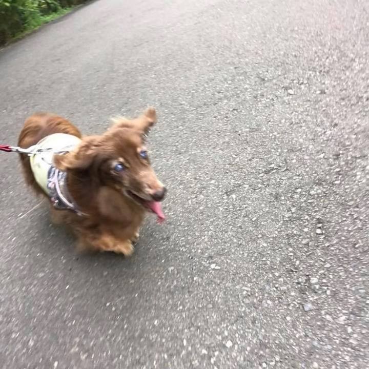 967b01aa 2d55 4f26 8aae 92eb05abe834 1626406961959