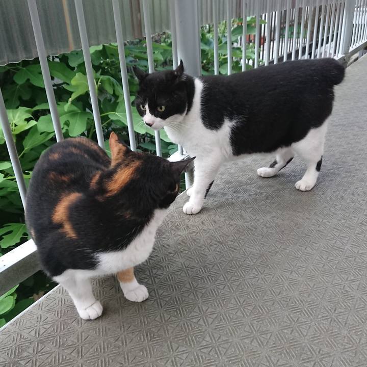 967b24ca db62 4fa5 9ffd f2d05249d8bd 1530955679989