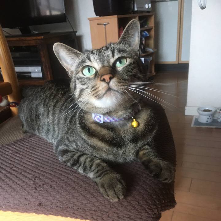 967b4272 804d 461b a580 1a156b1f4568 1592798036224