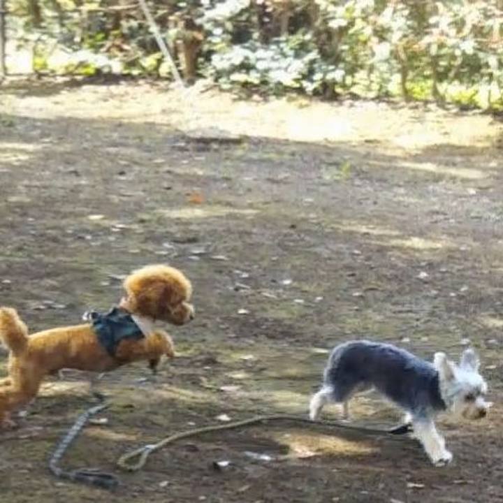 967b4a4e e158 4fd1 bc07 40bcf5f61e38 1537618049459