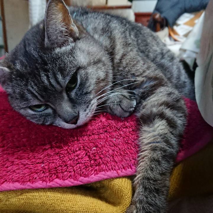 967b5721 efb6 42c5 95e3 cbb464d1ddf9 1550960543535