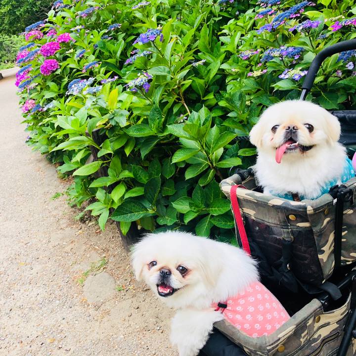 967b596e 5c7b 40eb 8c6f 4b17c190fb9e 1559876570826