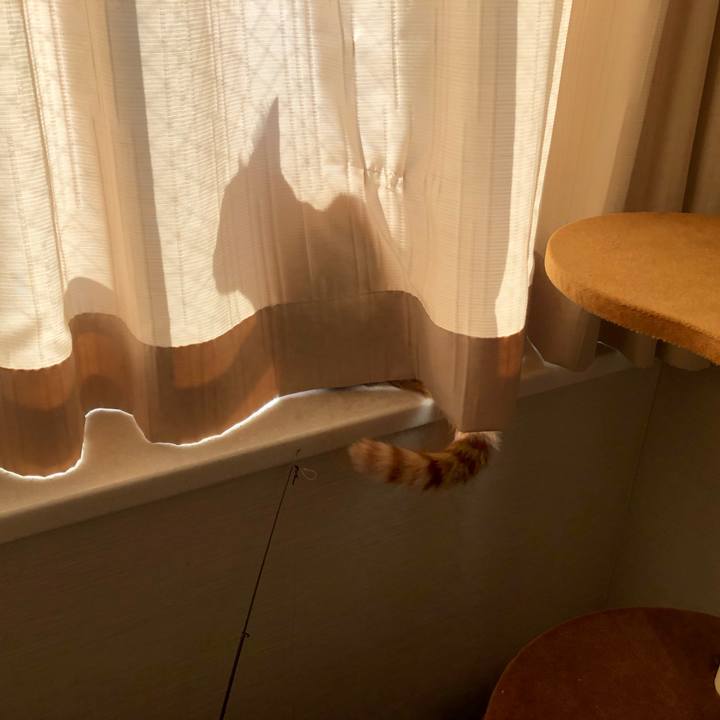 967b982f 002a 41dd 88ed e932d1604016 1635471952474