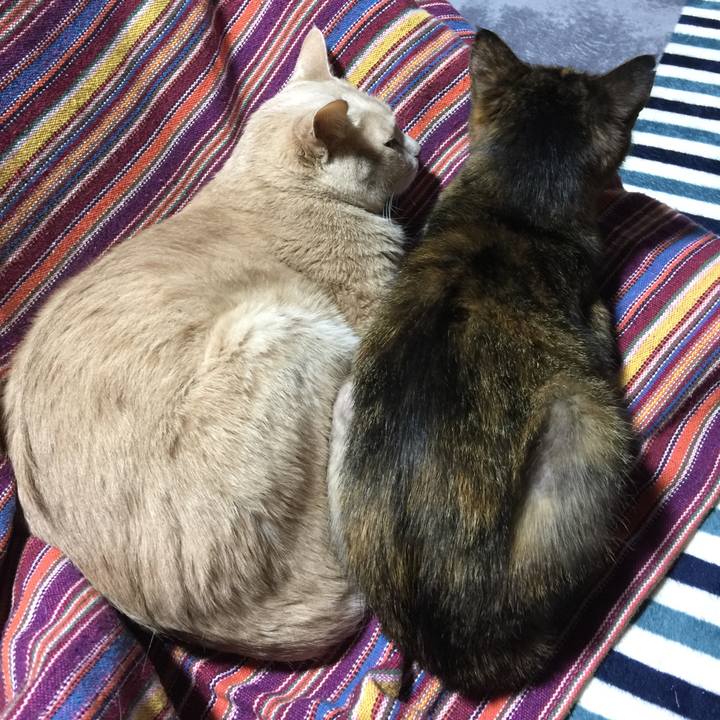 967b9cdf 9718 4797 9827 ba9abc88fc0f 1544708472932