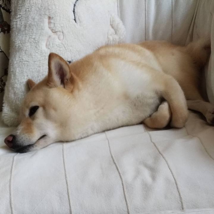 967bc5fd 3a28 4cfd 9588 1111db902c40 1590631211121