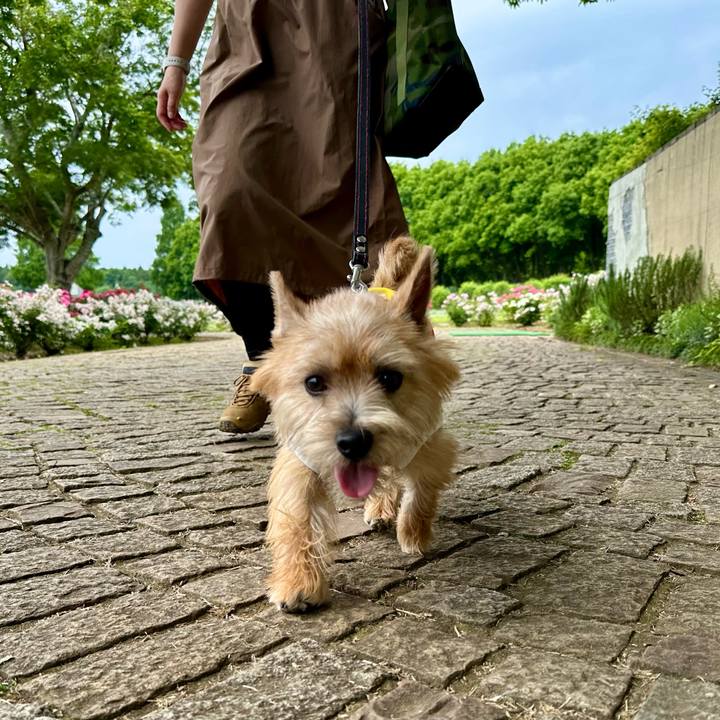 967c0d50 1169 428b b5b7 8df4b36aa385 1716140030293