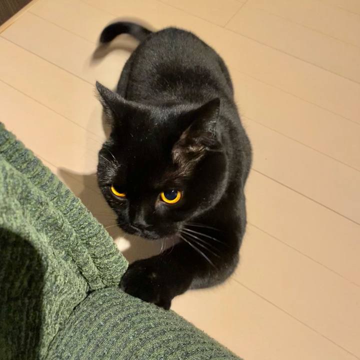 967cc48e a300 4d31 8b11 0522e5e93109 1611833652007