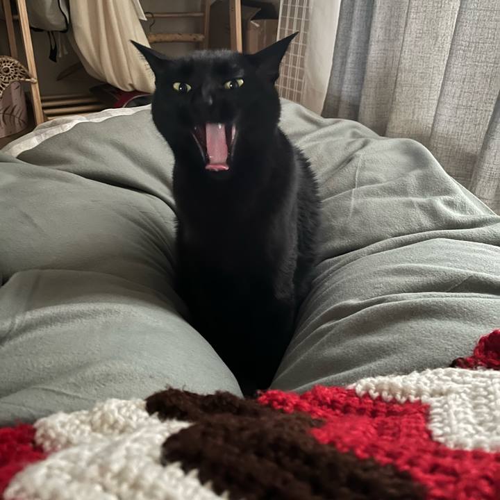 967cde24 cb72 4f23 9228 5fd4f7ca251a 1677196151731