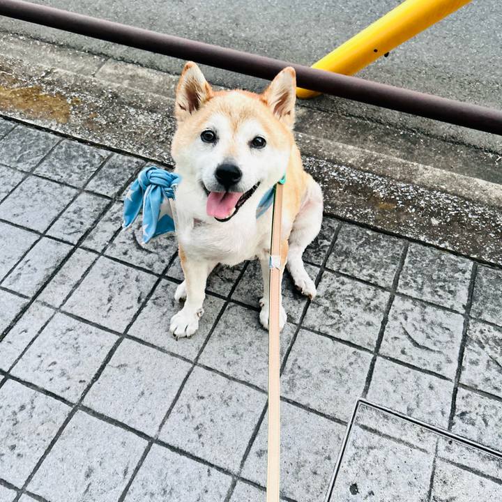 967ce95a 3abd 4767 9482 3311269bf1dd 1758605929577