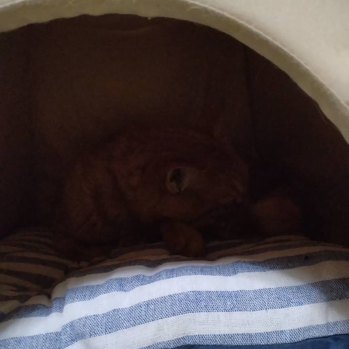 967cfc46 e75e 41c8 8c57 3e21a4052936 1668862710226