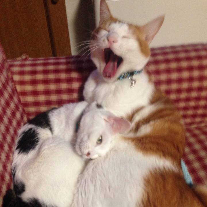 967d0b36 79e1 43a4 9e8f e4679bbe5bd4 1516434013200