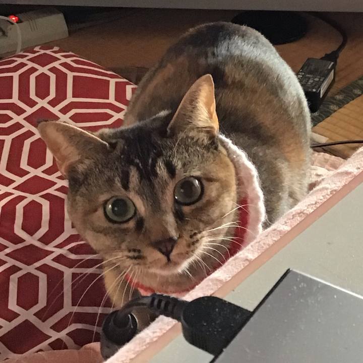 967d2935 fb4a 47f7 99f8 399b495169b7 1610777375270