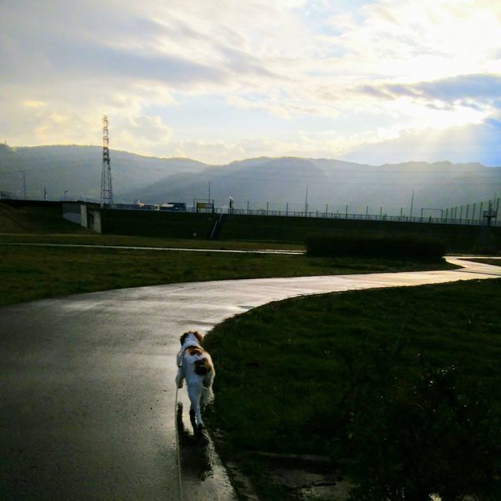 967d4b27 ea4a 4a0d b94f 7beebd5994b2 1552434947256