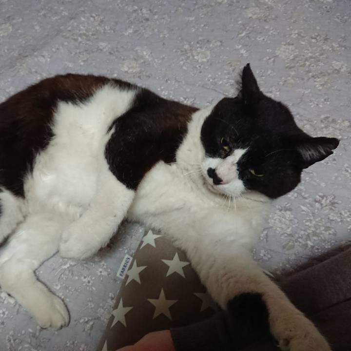 967d658b f8f0 4f4b bb33 bb1fc8291e94 1618389481247