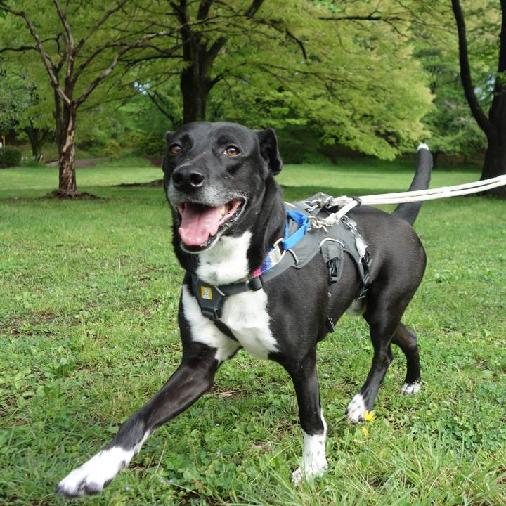 967d73d2 5301 4d5e a232 1049ae1e2116 1650588353862