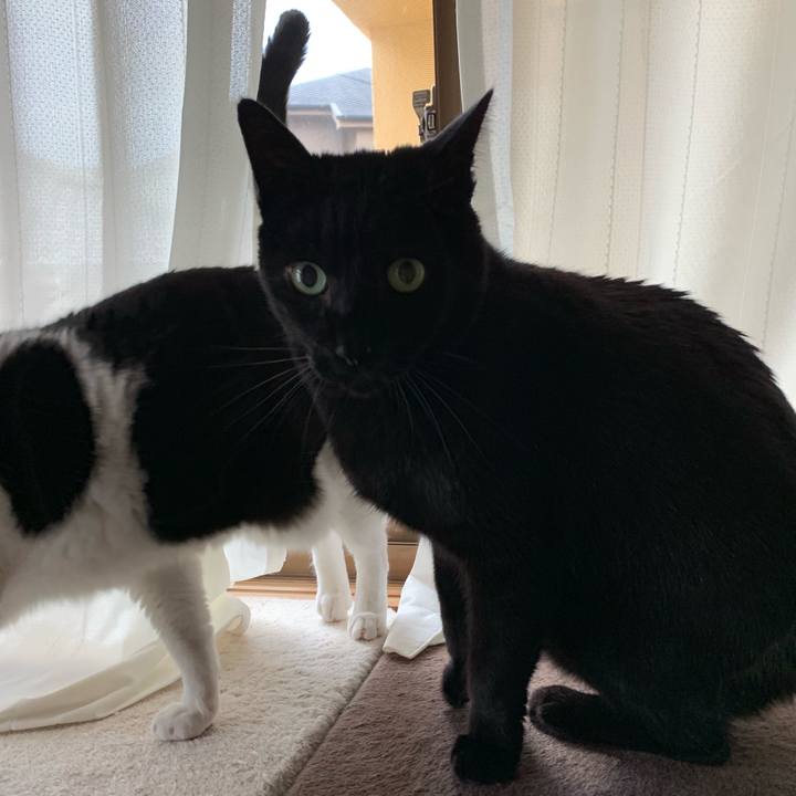 967d85f4 7b92 4337 9fa2 ffed5fbe77f3 1551228900074