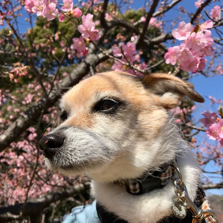 967d9268 ff36 4583 8ef5 2a2df4f889bd 1646534178165