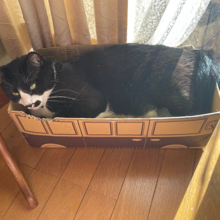 967d97ab e675 4826 9a23 49a8d1a5b2a2 1706316315784