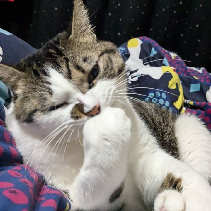 967dd5a5 3617 40c9 a00f bd7a03d1474f 1729931132440